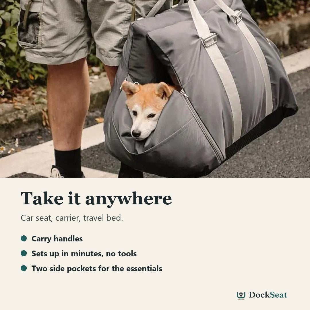 Owner carrying a dog in a charcoal grey DockSeat by its handles