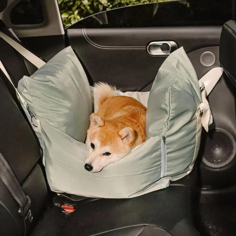 Dog lying calmly in a sage mint DockSeat on the back seat