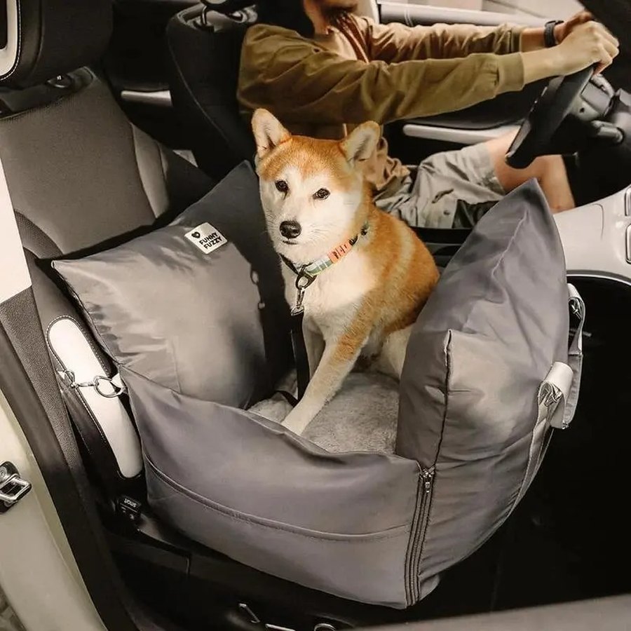 Dog sitting in a DockSeat while the owner keeps both hands on the wheel