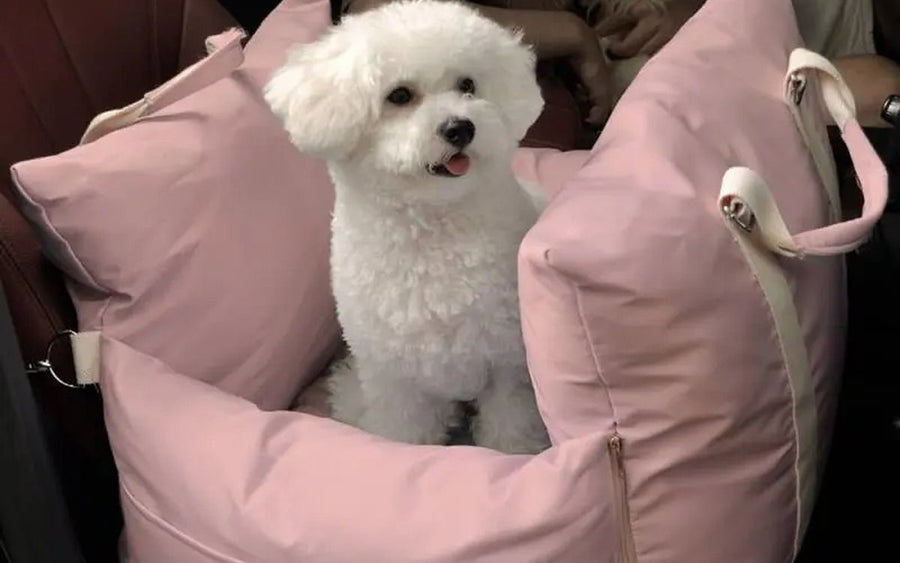 Small white dog settled in a blush pink DockSeat in the car