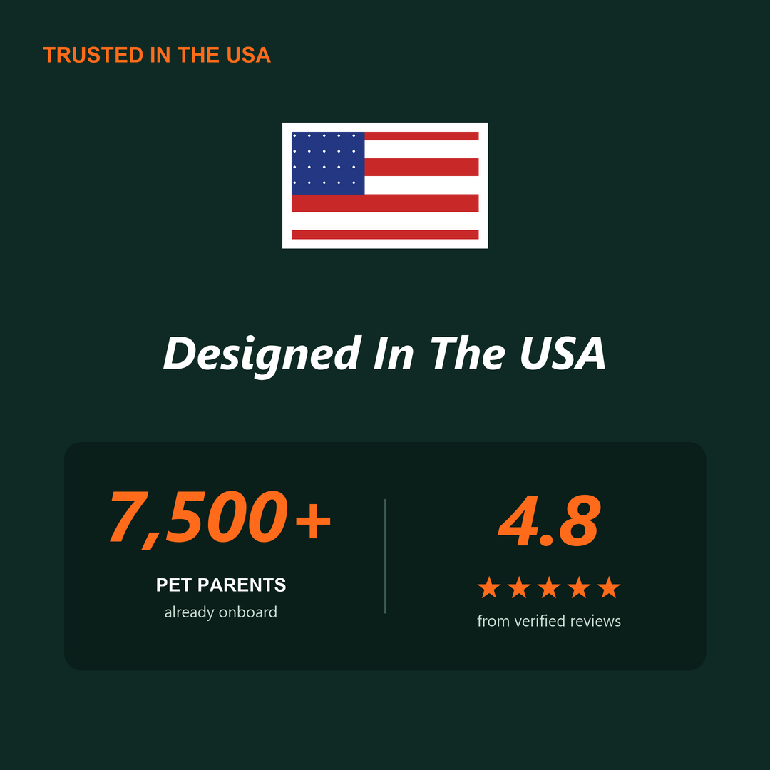 Dog Dock designed in the USA, loved by 7,500+ pet parents, 4.8 stars