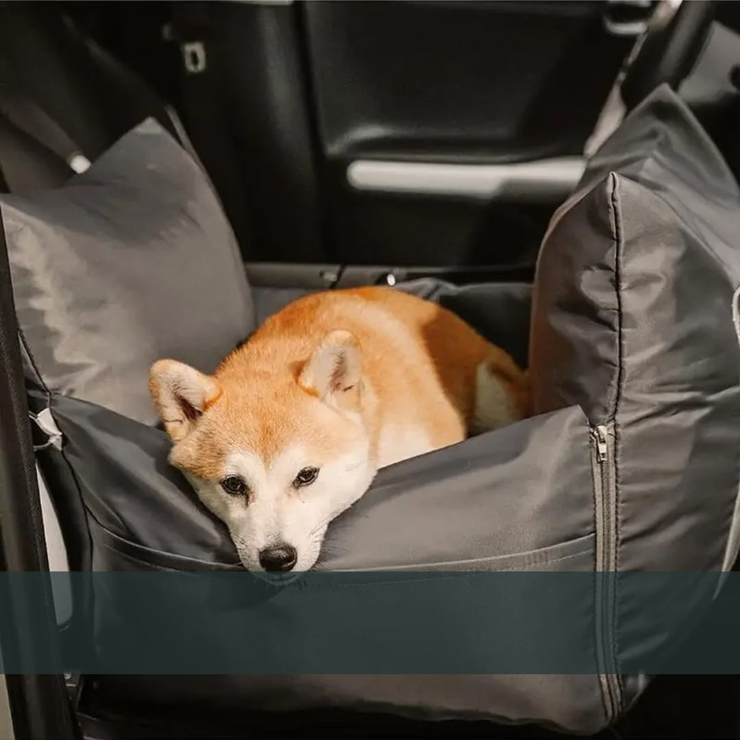 DockSeat dog car seat in the car: headrest strap, tether, five colors